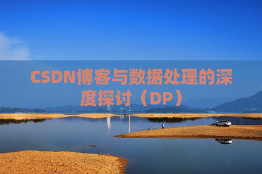 CSDN博客与数据处理的深度探讨（DP）